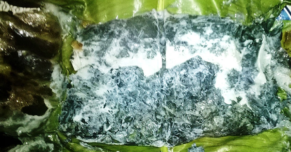 Loại lá mọc dại bờ rào được xem là 