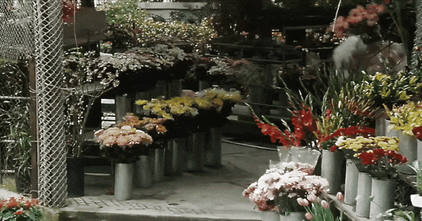 23 năm trước, đúng ngày Cá tháng 4, ông trời đã lấy lại món quà cuối cùng dành cho nhân gian