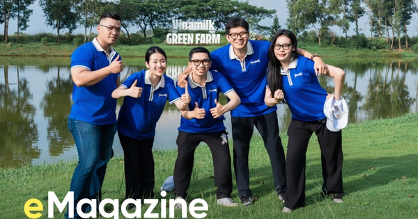 Khi thế hệ siêu trẻ của Vinamilk viết tiếp câu chuyện chuyển mình