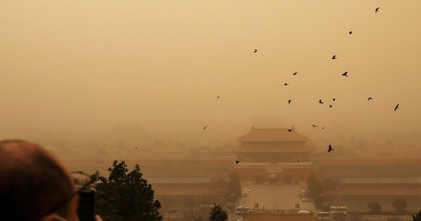 Cứ đêm đến quạ đen kéo kín trời ở Tử Cấm Thành, sự thật khiến ai cũng rợn người