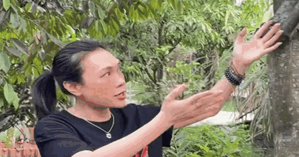 Thứ quý giá nhất trong biệt phủ nghìn mét vuông của Mỹ Tâm