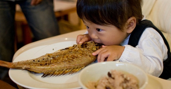 Những loại cá có nguy cơ chứa nhiều kim loại nặng cao, trẻ nhỏ nên hạn chế ăn