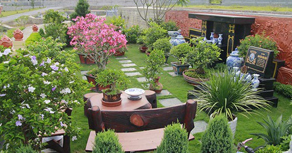 5 loại cây nên trồng trước mộ tổ tiên: Tăng phúc lộc, giữ vững vận khí dòng tộc