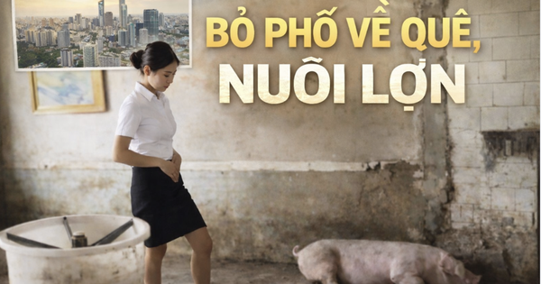 Nữ tiếp viên hàng không bỏ phố về quê nuôi lợn: 2 tháng “thắng đậm”, doanh thu hơn 770 triệu đồng