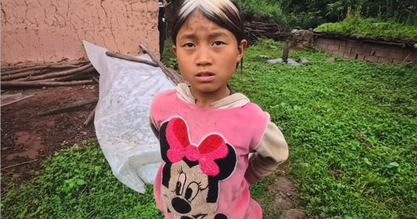 Cô bé 10 tuổi tóc đã bạc trắng vì mất mẹ, gồng mình nuôi cả gia đình