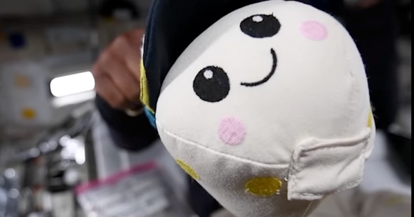 Cậu bé 8 tuổi tạo gấu bông chỉ báo không trọng lực trên tàu Orion Artemis II