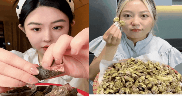 Hè đến rồi, loại ốc 