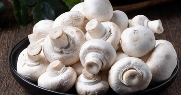 Giàu kali gấp hàng chục lần chuối, loại nấm giá rẻ giúp nhuận tràng, bổ gan, giảm mệt mỏi và tăng miễn dịch đang vào mùa