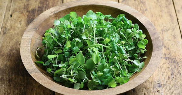 Loại rau nhiều người Việt 