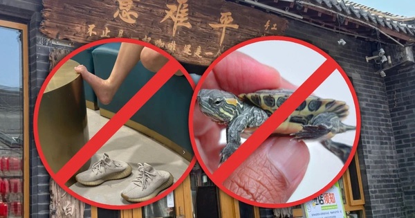 Quán cà phê càng nhiều quy định cấm, càng khiến thực khách thích thú