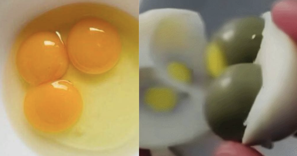 Người đàn ông đập trúng quả trứng 3 lòng đỏ hiếm nhất thế giới, xác suất khó hơn cả trúng Vietlott