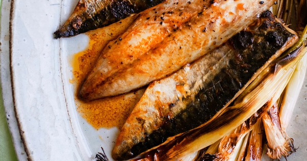 Kỳ lạ loại cá nhiều chất béo nhưng lại giúp giảm mỡ máu: Tiến sĩ Mỹ khen ngợi hết lời, Việt Nam có nhiều