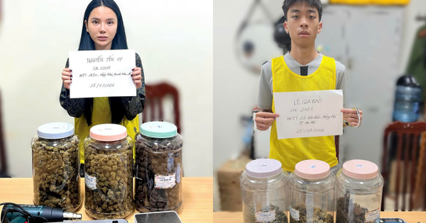 Bắt giữ Nguyễn Yến Vy SN 2005