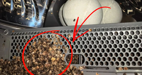 Sống 40 năm mới biết: Tuyệt đối không cho 8 thứ này vào máy giặt, không chỉ hỏng đồ mà còn “giết chết” máy rất nhanh