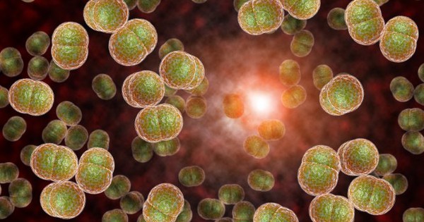 Vi khuẩn “ẩn mình” trong họng, có thể gây tử vong trong vòng 24 giờ