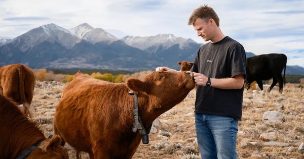 9 năm ám ảnh với vòng cổ bò, CEO 30 tuổi bị chê ngớ ngẩn khi khởi nghiệp, cuối cùng dựng lên startup 2 tỷ USD