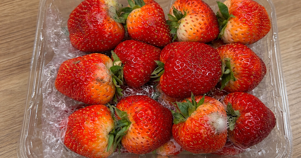 Cặp vợ chồng ngoài 20 tuổi cùng mắc ung thư gan, 