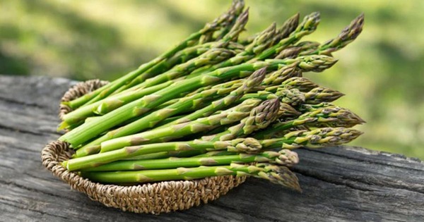 Loại rau được ví là 'nhân sâm' nhưng lại khắc tinh với người bị bệnh gout