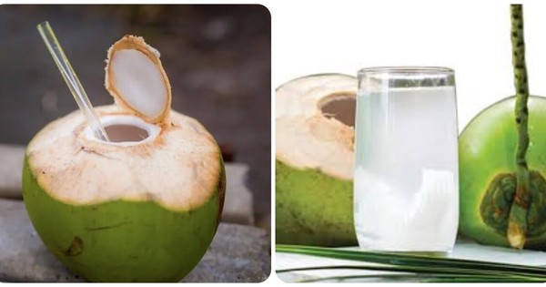 Những người không nên uống nước dừa