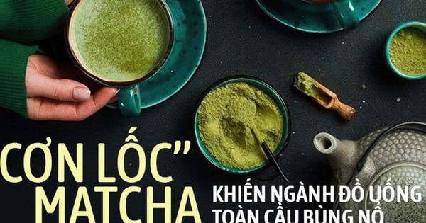 Giá matcha tăng 180% trong vòng 1 năm: Ngành đồ uống toàn cầu chạy đua săn lùng trend mới