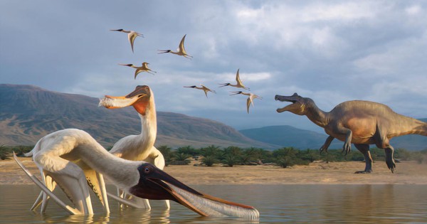 Quái vật thế giới 