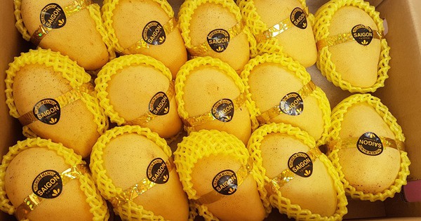 Loại quả bán đầy chợ Việt nhưng ra nước ngoài lại hóa 