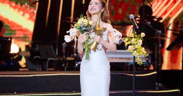 Hơn 18 nghìn lượt phẫn nộ bài đăng nhận giải Cống hiến của Hương Tràm