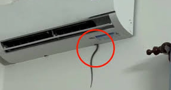 Cảnh báo việc rắn chui vào điều hoà