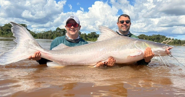 Hai anh em câu được con cá khổng lồ nặng 100kg, dài 2 mét