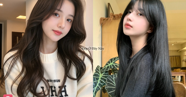 5 dầu gội bồ kết 