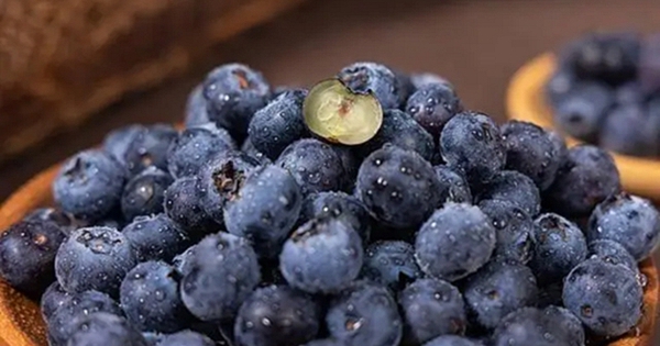 Người phụ nữ 61 tuổi kiên trì ăn việt quất mỗi sáng suốt 4 năm, kết quả khám khiến bác sĩ gật gù: 