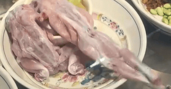 Ếch bị làm thịt vẫn cử động trên đĩa khiến người xem sợ hãi