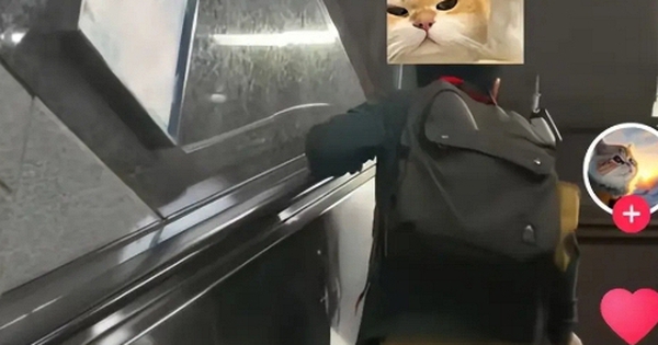 Hành động của 1 đứa trẻ ở ga tàu điện ngầm khiến nhiều người phải hốt hoảng bình luận: Cha mẹ bảo ban lại ngay kẻo muộn!