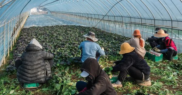 Phát hiện nhiều vi phạm nghiêm trọng đối với lao động nước ngoài tại Hàn Quốc