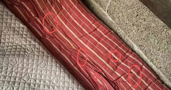 Điểm bất thường trên chiếc giường tố cáo 1 gia đình méo mó: Vết sẹo khó lành!