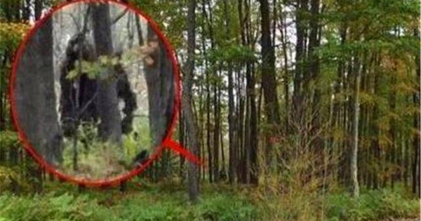 Loài thú lạ “đầu lừa, mình sói”, dài tới 2m bất ngờ tái xuất sau 500.000 năm: Sự thật quá bất ngờ!