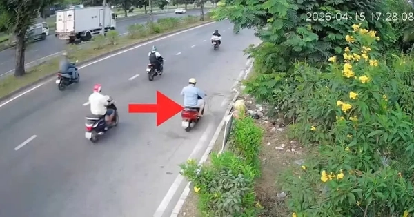 Vứt rác giữa đường, hai người ở TPHCM bị 'phạt nguội' tiền triệu