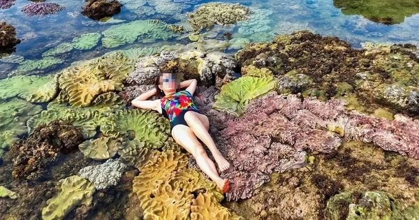 Thực hư việc du khách nằm, ngồi lên san hô để chụp ảnh