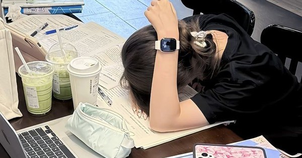 5 dấu hiệu của người hợp học lên cao học