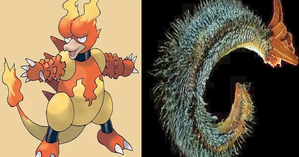 Bí ẩn về 7 loài động vật có sức mạnh tương đồng với Pokémon huyền thoại