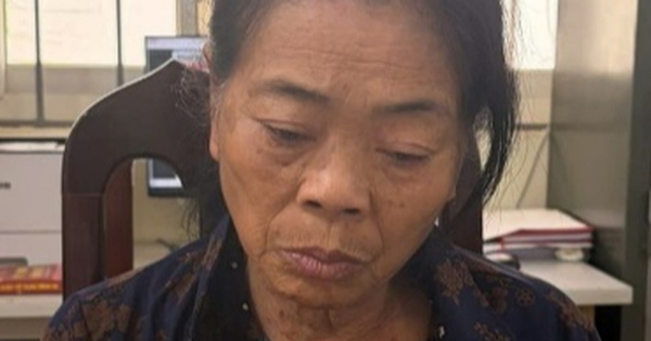 Bắt cụ bà Đinh Thị Hải sinh năm 1959