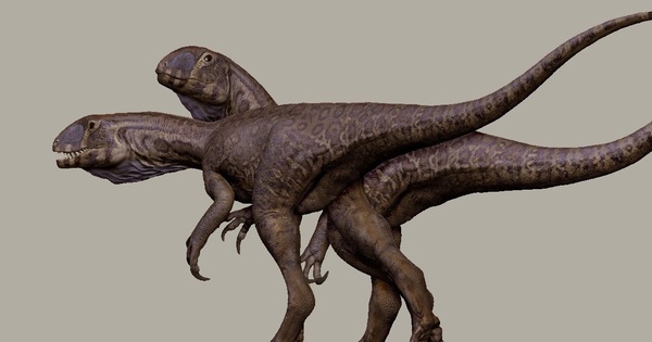 Quái vật 201 triệu tuổi 