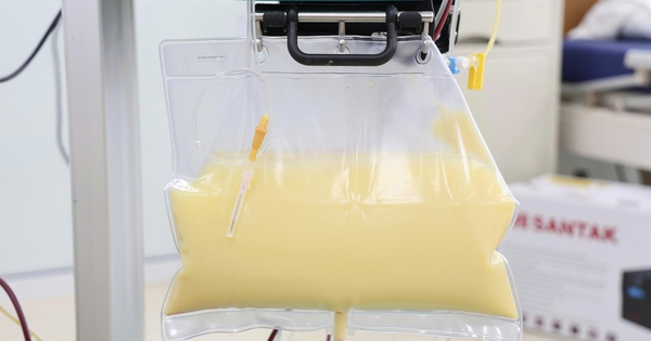 Mỡ máu cao gấp 20 lần, huyết tương đục như nước vo gạo