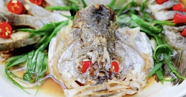 Loại cá được khen 