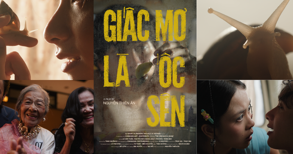 Việt Nam có một đại diện tranh giải tại Liên hoan phim Cannes 2026