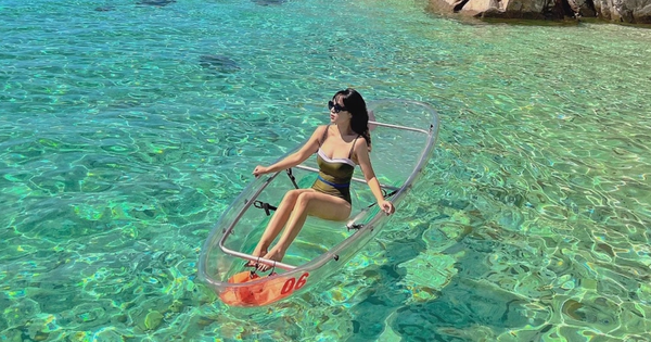 Không phải Phú Quốc, Việt Nam có một nơi vừa vào top 7 điểm trải nghiệm rùa biển nổi bật nhất thế giới