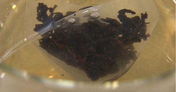 6 thói quen hàng ngày khiến bạn nuốt hàng tỷ hạt vi nhựa: Số 1 người Việt làm nhiều, mỗi lần đưa 11.6 tỷ vi nhựa vào người