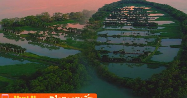 Sự thật về dải cù lao xanh mướt như đồ họa AI tại Cần Thơ