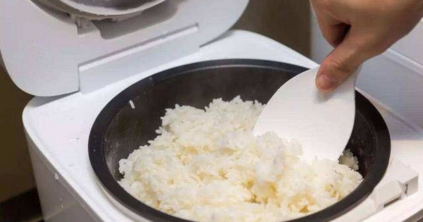 Lời khuyên cho người dùng nồi cơm điện