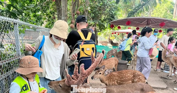 Chính thức có thêm một ngày nghỉ làm việc hưởng nguyên lương